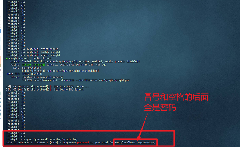 image-20251209103850716