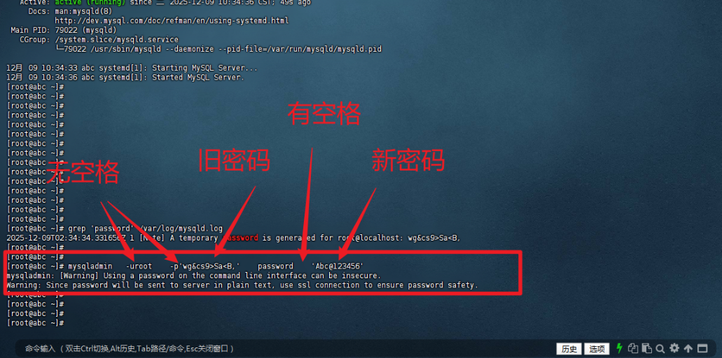 image-20251209104401577